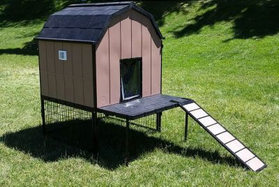Cove Products Kennel Barn with 8 ft. x 8 ft. x 5 ft. Tall Run & Metal Cover (Basic)