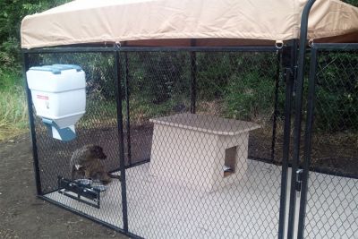 Image showing  Single 12 in. x 12 in. Plastic Floor Tile