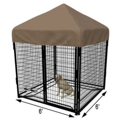Cove Products 6 ft. X 6 ft. Complete Standard Kennel