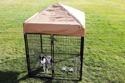 Image showing  6 ft. X 6 ft. Complete Standard Kennel