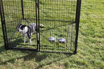 Image showing  6 ft. X 6 ft. Complete Standard Kennel