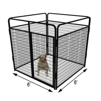 Cove Products 6 ft. X 6 ft. Basic Standard Dog Kennel (Powder-Coated)