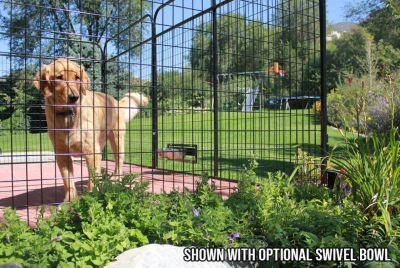 Image showing 1 th Cove Products 6 ft. X 6 ft. Basic Standard Dog Kennel (Powder-Coated)