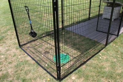 Image showing  8 ft. X 10 ft. Ultimate 7 ft. Tall Wire Kennel (Powdercoated)