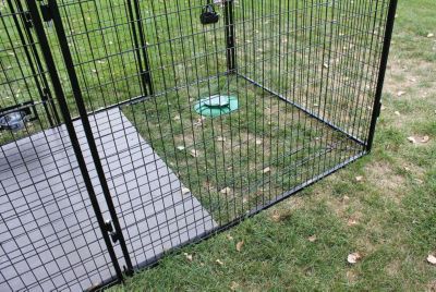 Image showing  8 ft. X 10 ft. Ultimate 7 ft. Tall Wire Kennel (Powdercoated)