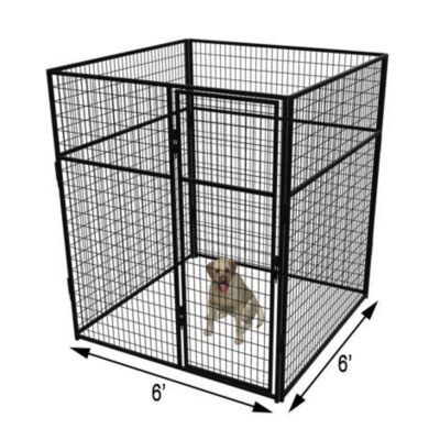 Cove Products 6 ft. X 6 ft. Basic 7 ft. Tall Wire Kennel (Powder-Coated)