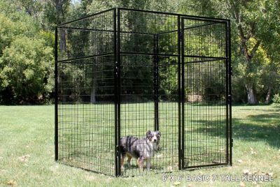 Image showing  6 ft. X 6 ft. Basic 7 ft. Tall Wire Kennel (Powder-Coated)