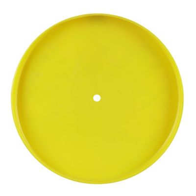 Image showing  Album Flyer Frisbee Dog Fetch Toy