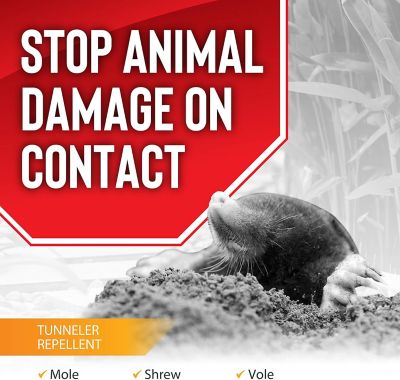 Image showing  Mole & Vole Stopper 320 oz. Concentrate