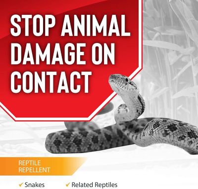 Image showing  Reptile Stopper 320 oz. Concentrate