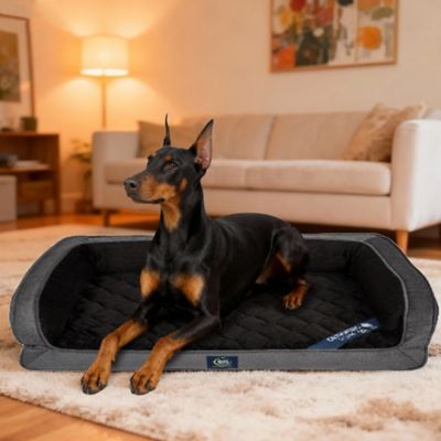 Serta Quilted Orthopedic Couch