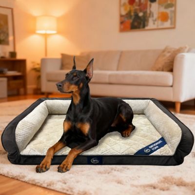 Image showing  Quilted Orthopedic Couch