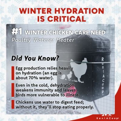 Image showing  64 oz. Zero Chill Heated Poultry Drinker