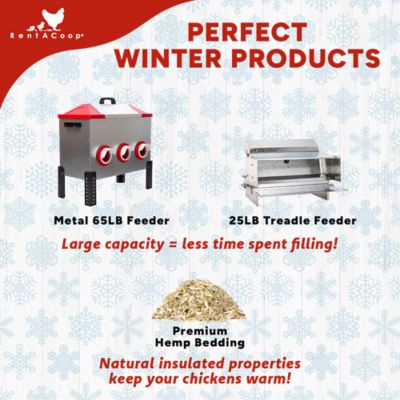 Image showing 7 th RentACoop 64 oz. Zero Chill Heated Poultry Drinker