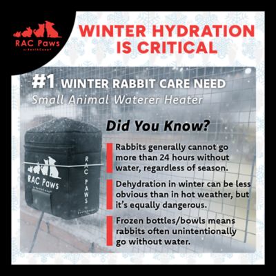 Image showing  64 oz. Zero Chill Heated Small Animal Drinker