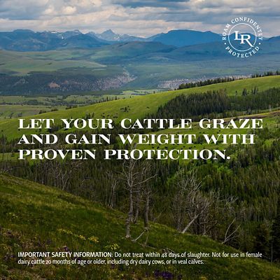 Image showing  LongRange Cattle Dewormer