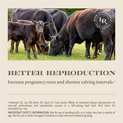 Image showing  LongRange Cattle Dewormer