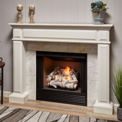 Image showing  Vent Free Dual Fuel Gas Log Set-18 in. Birch Wood, 30,000 BTU, Remote Control-Model# B18DR-UL3