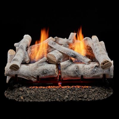 Bluegrass Living Vent Free Dual Fuel Gas Log Set-24 in. Birch Wood, 33,000 BTU, Remote Control-Model# B24DR-ES3