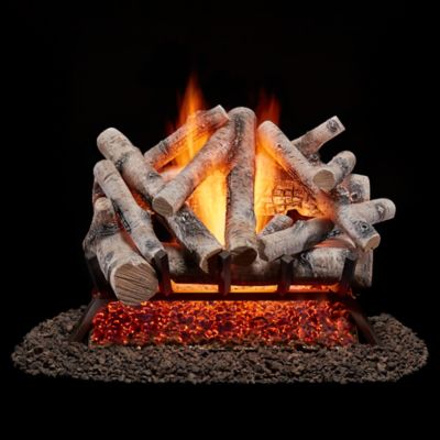 Bluegrass Living Vented Natural Gas Fireplace Log Set-24 in. Birch Wood, 55,000 BTU, Match Light-Model# BVL24-2