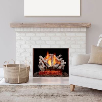 Image showing  Vented Natural Gas Fireplace Log Set-24 in. Birch Wood, 55,000 BTU, Match Light-Model# BVL24-2