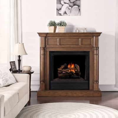 Image showing  DLS-L18R-1 Vent Free Gas Log Set, U-Burner Chassis: Propane, Remote Thermostat, Fiber Logs: 18in Split Red Oak