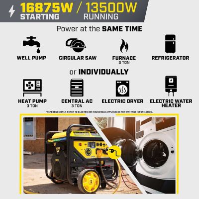 Image showing  13,500-Watt Electric Start Tri Fuel Home Backup Portable Generator with CO Shield