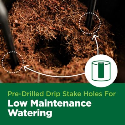 Image showing  32 ct. Coco Cube 1 gal. RHP Certified Compressed Coco Coir Growing Medium for Vegetative & Flowering, 36-Case