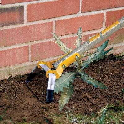 Image showing  Seasonal Clean-up Kit with 16-Tine Rake, 25-Tine Rake, Action Hoe & Shrub Rake