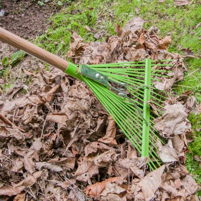 Image showing  54 in. Hardwood Handle 22-Tine Steel Leaf Rake (3-Pack)