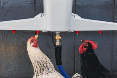 Image showing  Gen 2 Fountain