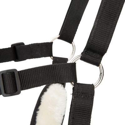 Image showing 8 th Shires Equestrian Products FreeGraze Airflow Graizing Muzzle Black