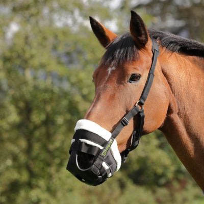 Image showing  FreeGraze Airflow Graizing Muzzle Black
