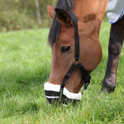 Image showing  FreeGraze Airflow Graizing Muzzle Black