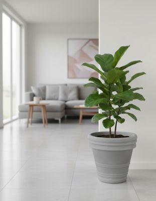 Image showing  20 in. Anturio Planter Cement Grey