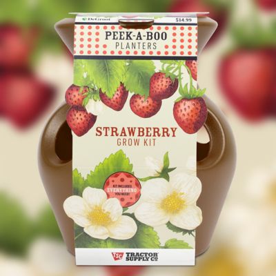 DeGroot Peek-A-Boo Strawberry Planter Kit Brown