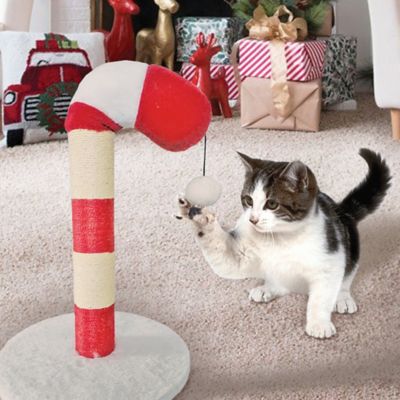 Image showing  Cat Scratcher