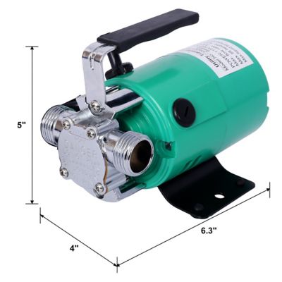 Image showing  115V Water Transfer Pump