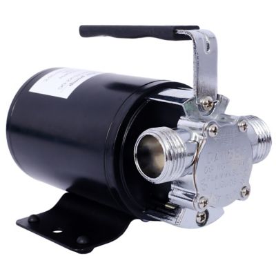 Image showing 6 th Progreen Portable Electric Water Pump, 1/10HP