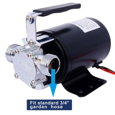 Image showing 9 th Progreen Portable Electric Water Pump, 1/10HP