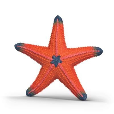 Schleich Starfish Color Change Toy Figurine