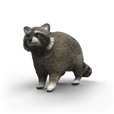 Schleich Raccoon Wildlife Toy Figurine