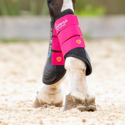 Raspberry Small Pony