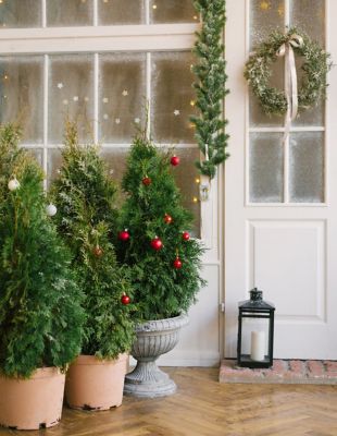 Image showing American Pillar Holiday 3G