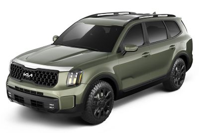 Image showing  Aeroskin Hood Protector 2020 - 2025 Kia Telluride Low Profile Deflector / Bug Shield - 1 pc. Chrome