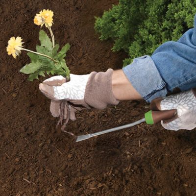 Image showing 6 th Ames Gardening Hand Tool Kit with Trowel, Transplanter, Weeder & Scoop