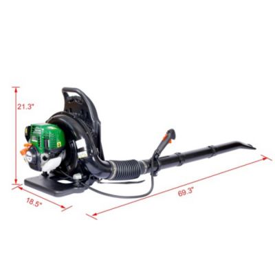 Image showing  4-Stroke Backpack Leaf Blower 1.5HP