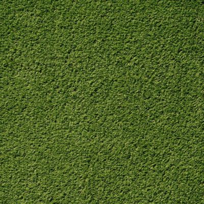 Image showing  Verdant Vista Lushscape Green 7.5 ft. x 10 ft. Pre-Cut Artificial Turf Rug - 28 mm Pile, Indoor/Outdoor, Pet Friendly