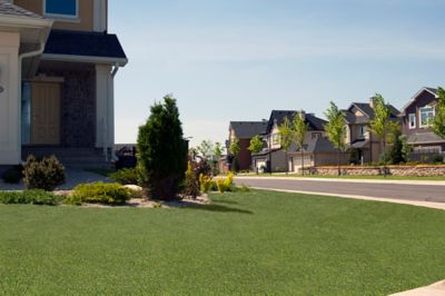 Image showing 7 th Ackland Verdant Vista Willow Green 15 x 100ft. Artificial Turf, 45mm Pile, 65 oz. Face Weight, Indoor/Outdoor, Pet Friendly