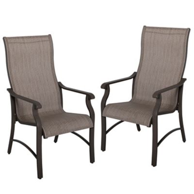 Image showing  Patio Time 2-Piece Patio Dining Chairs Set